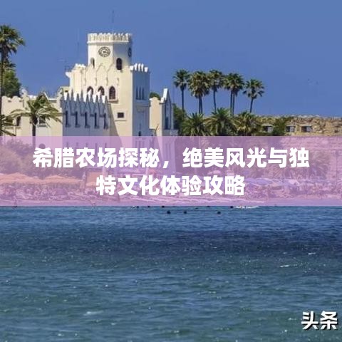 希臘農(nóng)場(chǎng)探秘，絕美風(fēng)光與獨(dú)特文化體驗(yàn)攻略