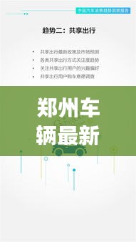 鄭州車(chē)輛最新報(bào)告揭秘，今日交通狀況全面解析