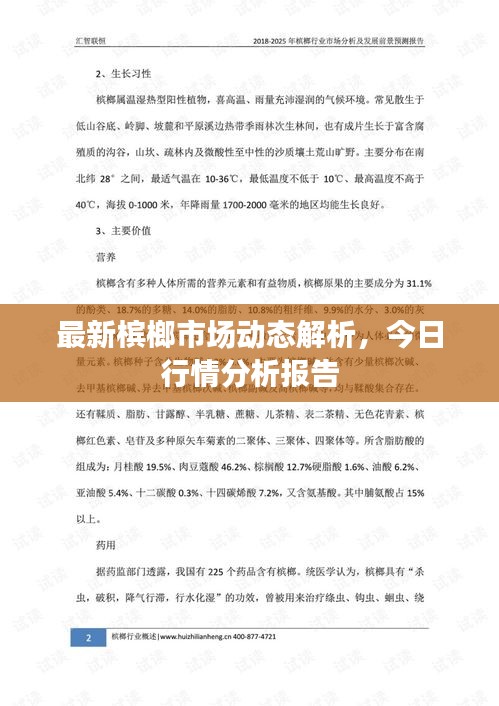 最新檳榔市場(chǎng)動(dòng)態(tài)解析，今日行情分析報(bào)告