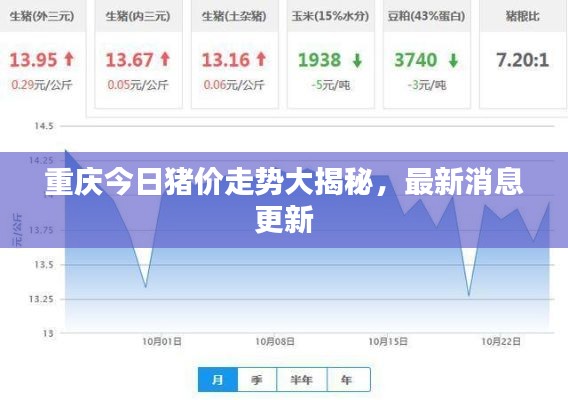重慶今日豬價走勢大揭秘，最新消息更新