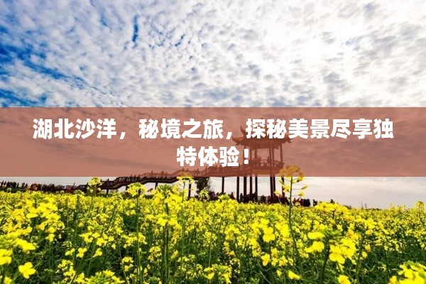 湖北沙洋，秘境之旅，探秘美景盡享獨特體驗！