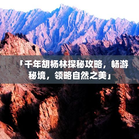 「千年胡楊林探秘攻略，暢游秘境，領略自然之美」