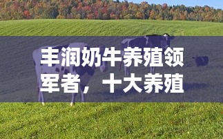 豐潤奶牛養(yǎng)殖領(lǐng)軍者，十大養(yǎng)殖企業(yè)榮耀上榜