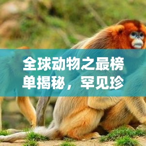 全球動(dòng)物之最榜單揭秘，罕見珍稀生物震撼排名！