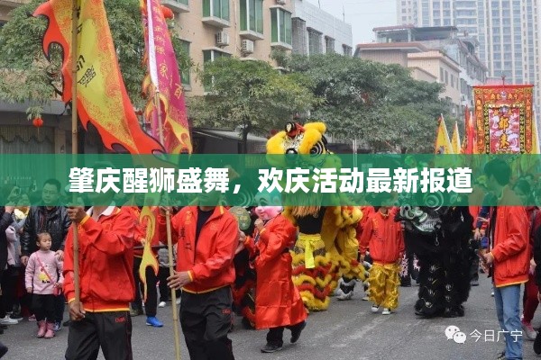 肇慶醒獅盛舞，歡慶活動(dòng)最新報(bào)道