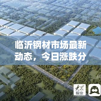 臨沂鋼材市場最新動態(tài)，今日漲跌分析與趨勢解讀