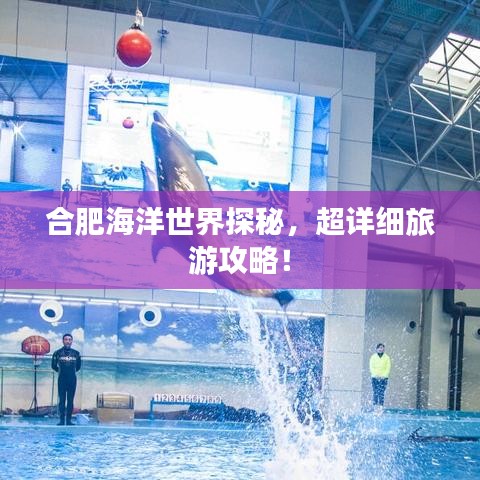 合肥海洋世界探秘，超詳細(xì)旅游攻略！
