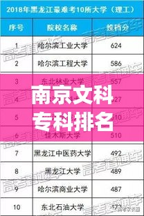 南京文科?？婆琶笆＝颐?，學(xué)術(shù)明珠的探尋之旅