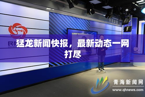 猛龍新聞快報(bào)，最新動(dòng)態(tài)一網(wǎng)打盡