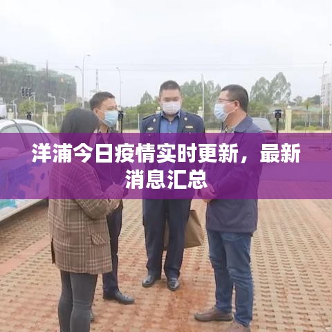 洋浦今日疫情實(shí)時(shí)更新，最新消息匯總
