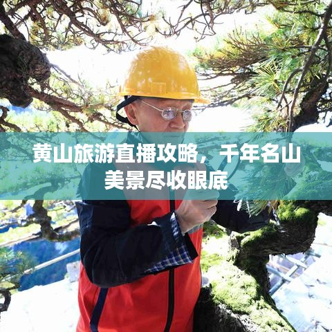黃山旅游直播攻略，千年名山美景盡收眼底