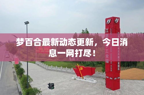 夢百合最新動態(tài)更新，今日消息一網打盡！