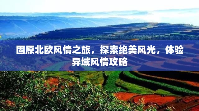 固原北歐風(fēng)情之旅，探索絕美風(fēng)光，體驗異域風(fēng)情攻略