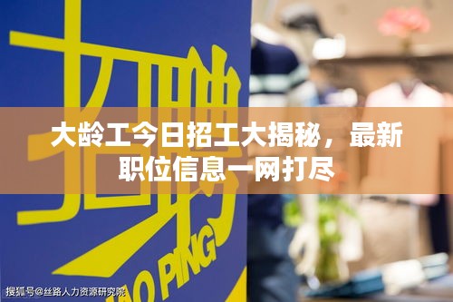大齡工今日招工大揭秘，最新職位信息一網(wǎng)打盡