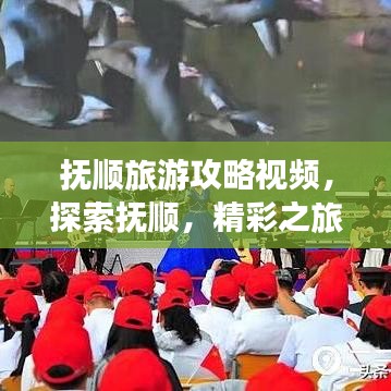 撫順旅游攻略視頻，探索撫順，精彩之旅不容錯過