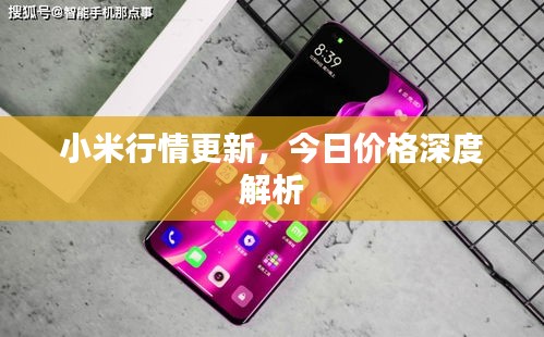 小米行情更新，今日價格深度解析