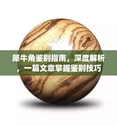 犀牛角鑒別指南，深度解析，一篇文章掌握鑒別技巧