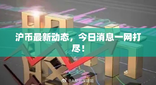 滬幣最新動態(tài)，今日消息一網(wǎng)打盡！