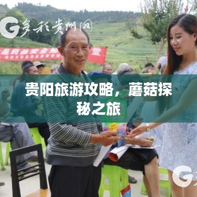 貴陽旅游攻略，蘑菇探秘之旅