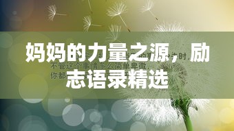 媽媽的力量之源，勵志語錄精選