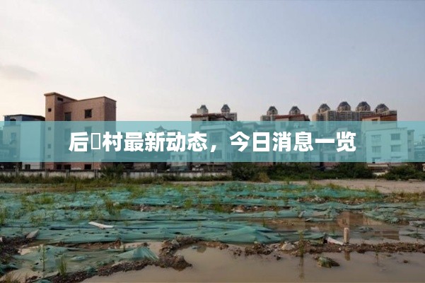 后滘村最新動態(tài)，今日消息一覽