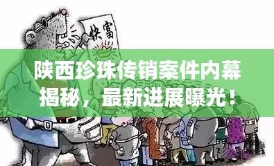 陜西珍珠傳銷案件內(nèi)幕揭秘，最新進展曝光！