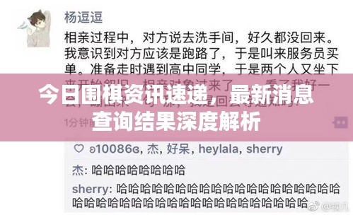 今日圍棋資訊速遞，最新消息查詢結(jié)果深度解析