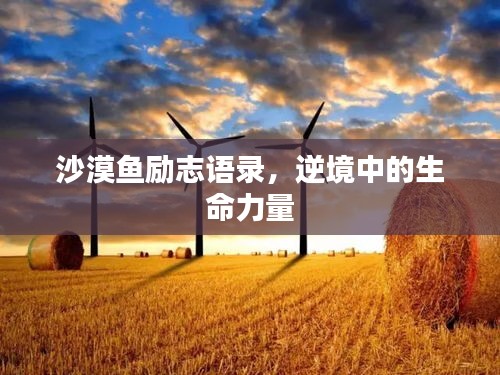 沙漠魚(yú)勵(lì)志語(yǔ)錄，逆境中的生命力量