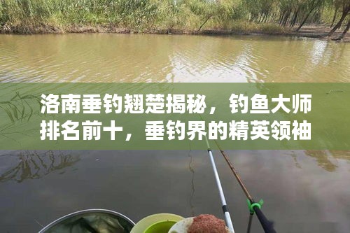 洛南垂釣翹楚揭秘，釣魚(yú)大師排名前十，垂釣界的精英領(lǐng)袖！