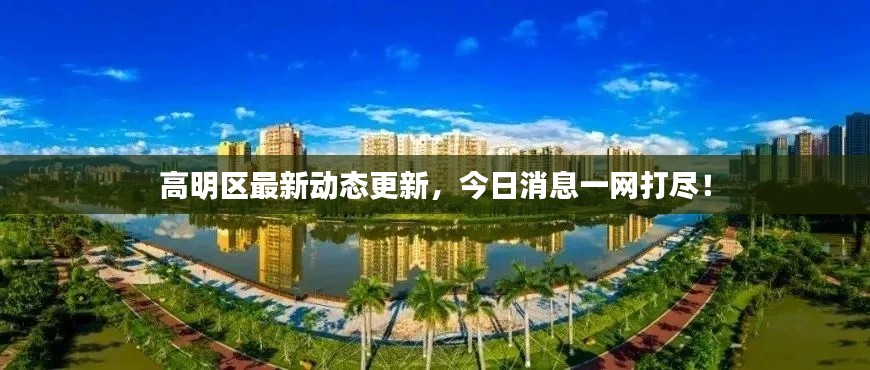高明區(qū)最新動(dòng)態(tài)更新，今日消息一網(wǎng)打盡！