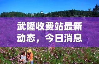 武隆收費(fèi)站最新動(dòng)態(tài)，今日消息全解析