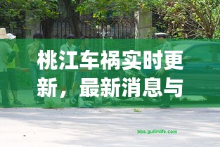 桃江車禍實時更新，最新消息與現(xiàn)場情況揭秘