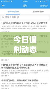 今日調(diào)劑動態(tài)速遞，最新消息全面解析