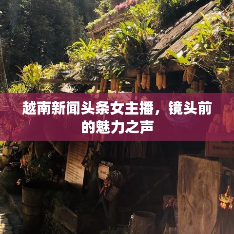 越南新聞?lì)^條女主播，鏡頭前的魅力之聲