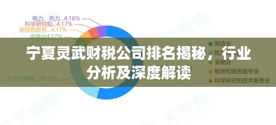 寧夏靈武財稅公司排名揭秘，行業(yè)分析及深度解讀
