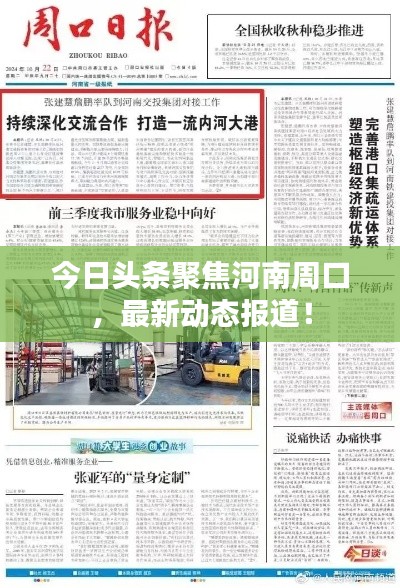 今日頭條聚焦河南周口，最新動態(tài)報道！