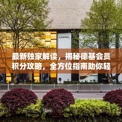 最新獨家解讀，揭秘德基會員積分攻略，全方位指南助你輕松玩轉(zhuǎn)積分兌換！
