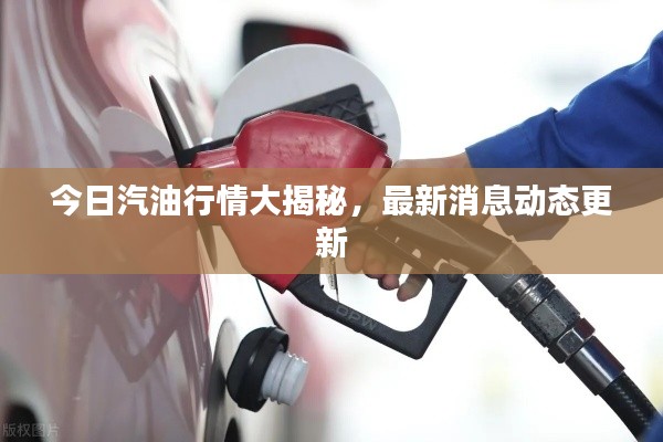 今日汽油行情大揭秘，最新消息動(dòng)態(tài)更新