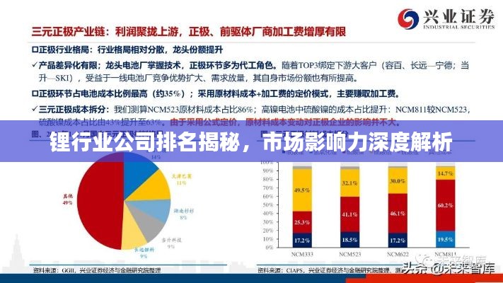 鋰行業(yè)公司排名揭秘，市場(chǎng)影響力深度解析