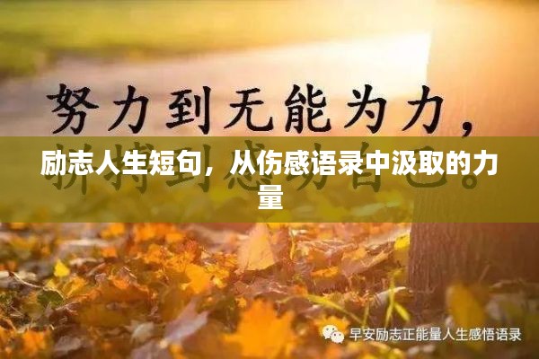 勵志人生短句，從傷感語錄中汲取的力量