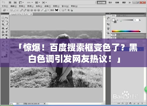 「驚爆！百度搜索框變色了？黑白色調引發(fā)網(wǎng)友熱議！」