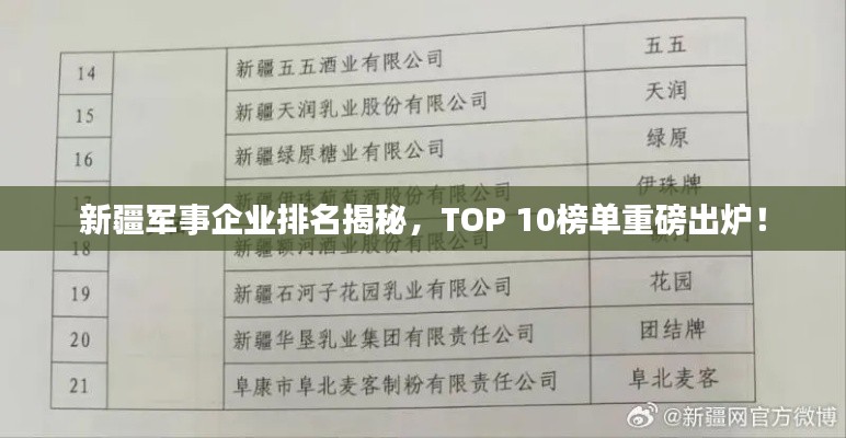 新疆軍事企業(yè)排名揭秘，TOP 10榜單重磅出爐！