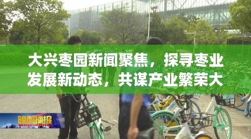大興棗園新聞聚焦，探尋棗業(yè)發(fā)展新動(dòng)態(tài)，共謀產(chǎn)業(yè)繁榮大計(jì)