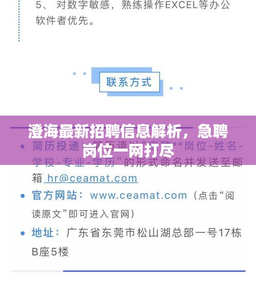 澄海最新招聘信息解析，急聘崗位一網(wǎng)打盡