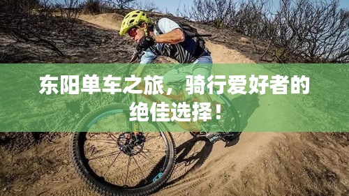 東陽單車之旅，騎行愛好者的絕佳選擇！