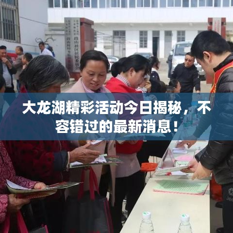 大龍湖精彩活動今日揭秘，不容錯過的最新消息！