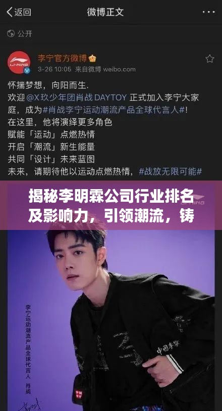 揭秘李明霖公司行業(yè)排名及影響力，引領(lǐng)潮流，鑄就傳奇！