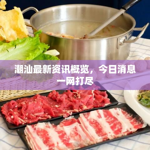 潮汕最新資訊概覽，今日消息一網(wǎng)打盡