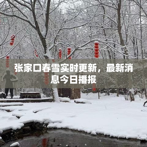 張家口春雪實時更新，最新消息今日播報