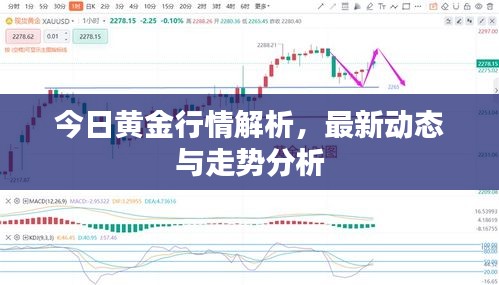今日黃金行情解析，最新動態(tài)與走勢分析